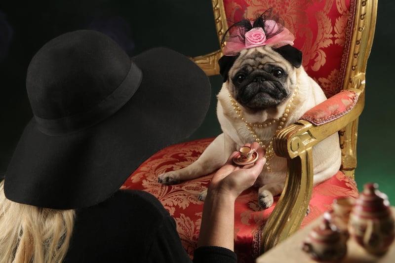 Celebrities gossiping